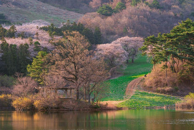Botanischer Garten in Gyeonggi-Do, Südkorea Rundreise