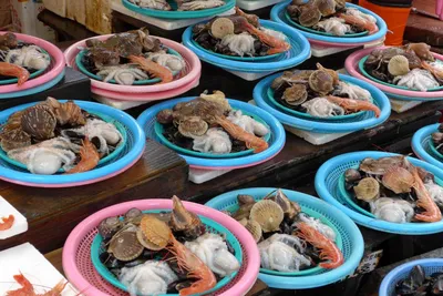 Jagalchi-Markt in Busan, Südkoreas größter Fischmarkt