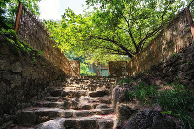 Weg Richtung Geumgangsa Tempel, Südkorea Reise