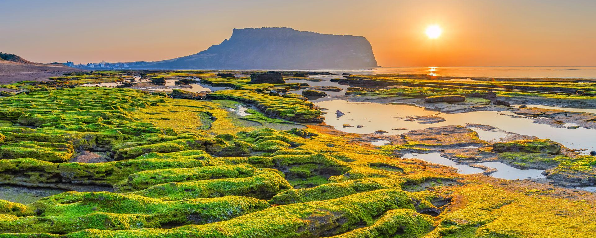 Jeju, Südkorea Rundreisen