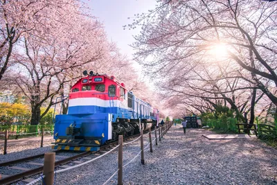 Bahnhof Jinhae, Gyeonghwa, Südkorea